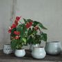Décorations florales - Céline de Lys - PUYLAERT HOME BASICS - BELGOFLOR