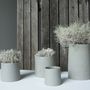 Décorations florales - Céline de Lys - PUYLAERT HOME BASICS - BELGOFLOR