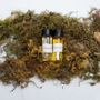 Customizable objects - AllSense Signature Fragrance Design - ALLSENSE SCENT LAB