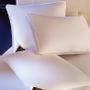 Comforters and pillows - Duvets and pillows - BRINKHAUS