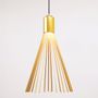 Suspensions - Carina XL - CHARLES LETHABY LIGHTING