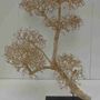 Unique pieces - Dried Tree - DÉCORAMA
