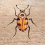 Objets design - Insects collection - STONE GALLERY