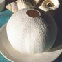 Céramique - OURSIN DIFFUSEUR - TAKAYAKA