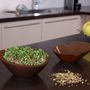 Kitchen utensils - Manual germinator + free recipe booklet - INNOBIZ