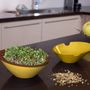 Kitchen utensils - Manual germinator + free recipe booklet - INNOBIZ