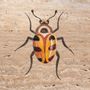 Design objects - Insects collection - STONE GALLERY