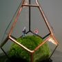 Decorative objects - Petits Mondes plant - AQUAPHYTE