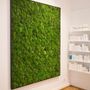 Other wall decoration - Vegetal wall frame with preserved moss - ROSEMARIE SCHULZ