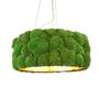 Design objects - Vegetal Lamps - ROSEMARIE SCHULZ