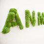 Other wall decoration - Natural Moss Letters and Signs - ROSEMARIE SCHULZ