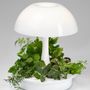 Objets design - Lampe végétal - GLOP STUDIO
