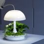 Objets design - Lampe végétal - GLOP STUDIO