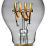 Ampoules pour éclairage intérieur - NOUVEAUX FILAMENTS INCURVÉS LED VINTAGE - SEGULA LED LIGHTING