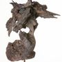 Decorative objects - The Crested Cormorant - COLLECTION EMERGENCES