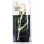 Fragrance for women & men - The Green Carnation  - FRIENDLY FUR BERLIN