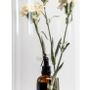 Parfums pour soi et eaux de toilette - The Green Carnation - FRIENDLY FUR BERLIN