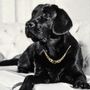 Design objects - Tapestry Black Labrador Retriever - NEO TAPIS