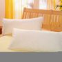 Comforters and pillows - Pillows - H.S. INTERNATIONAL (HANSETEXTIL)