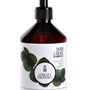 Soaps - Liquid Marseille soap Eucalyptus & black peppermint / Grapevine flower - CONCEPT PROVENCE
