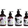 Beauty products - Body milk Grapevine flower - CONCEPT PROVENCE