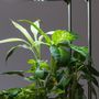 Objets déco enfant - OZARIUM LED - CITIZENFARM