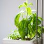Objets déco enfant - OZARIUM LED - CITIZENFARM