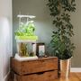 Objets déco enfant - OZARIUM LED - CITIZENFARM