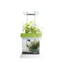 Objets déco enfant - OZARIUM LED - CITIZENFARM