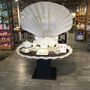 Assiettes de réception - Karaca Helen Fine Pearl Dinnerware - KARACA PORCELAIN