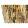 Coffee tables - Trunk coffee table - PRES-BOIS MEUBLES TRONCS