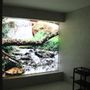 Decorative wall frescoes - Laminated Glass with digital printing of high resolution  - WIDINGLASS BY BISELARTE