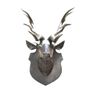 Decorative objects - Aluminium stag head shiny color - LES SCULPTEURS DU LAC
