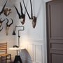 Wall lamps - Lampe Gras N°217 - DCW EDITIONS (IN THE CITY)
