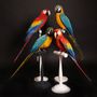 Objets de décoration - Oiseaux Sculpture. - DESIGN & NATURE