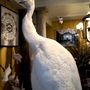 Unique pieces - White peacock sculpture - DESIGN & NATURE