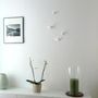 Other wall decoration - small flock of birds  - THOMAS POGANITSCH DESIGN