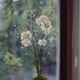 Floral decoration - Majikku Plant - AQUAPHYTE