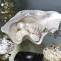 Decorative objects - 24cm Giant Clam with Pearl Interior - BIG BLUE COMPANY