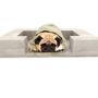 Beds - Pets furniture - DO NOT USE LOFT-DOG