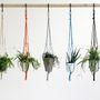Floral decoration - Knotted interiors Plant Pot Hangers - ELEANOR BOLTON STUDIO