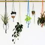 Floral decoration - Knotted interiors Plant Pot Hangers - ELEANOR BOLTON STUDIO