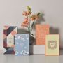 Stationery - Greeting cards - HAFERKORN & SAUERBREY