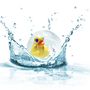 Children's bathtime - Bulle d'eau - BASS ET BASS