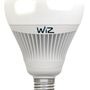 Ampoules pour éclairage intérieur - Globe G100 - E27 - WIZ