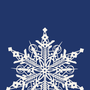 Decorative objects - Lasercut snowflake - ARTOZ PAPIER