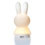 Licensed products - Miffy First Light - STEMPELS&CO.