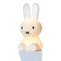 Licensed products - Miffy First Light - STEMPELS&CO.