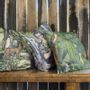 Fabric cushions - Maison Images d'Epinal cushions - MAISON