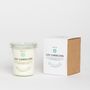 Candles - Retour du Marché Scented Candle, Apricot and Rosemary - LOU CANDELOUN